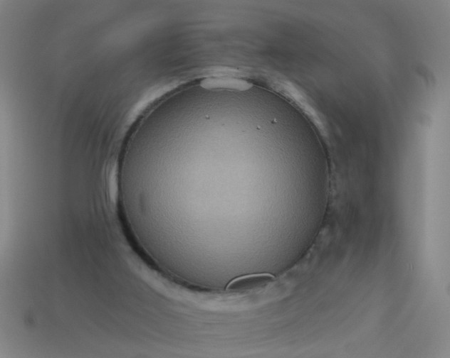 X0000114100011200910191651