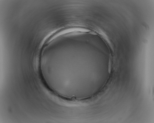 X0000114100012200910191651