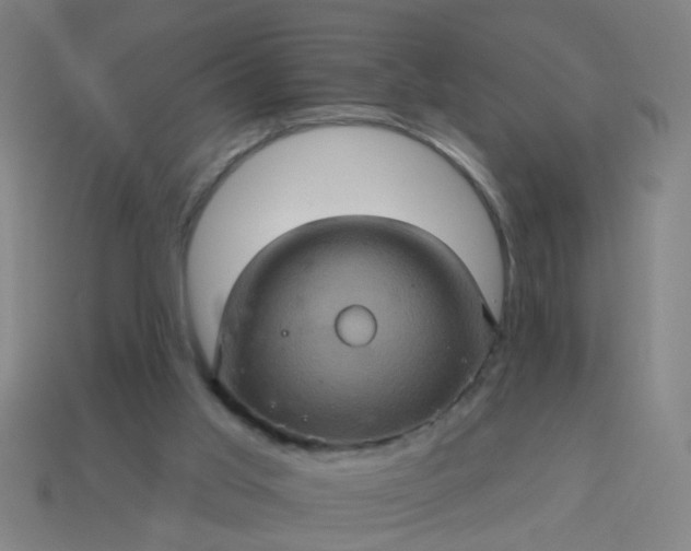 X0000114100013200910191651