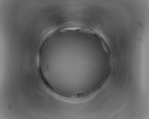 X0000114100014200910191651