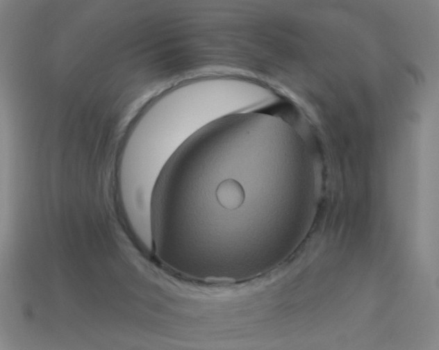 X0000114100015200910191651