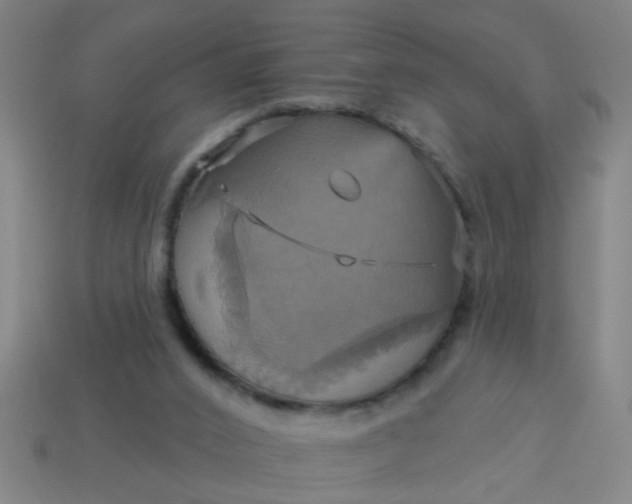 X0000114100016200910191651