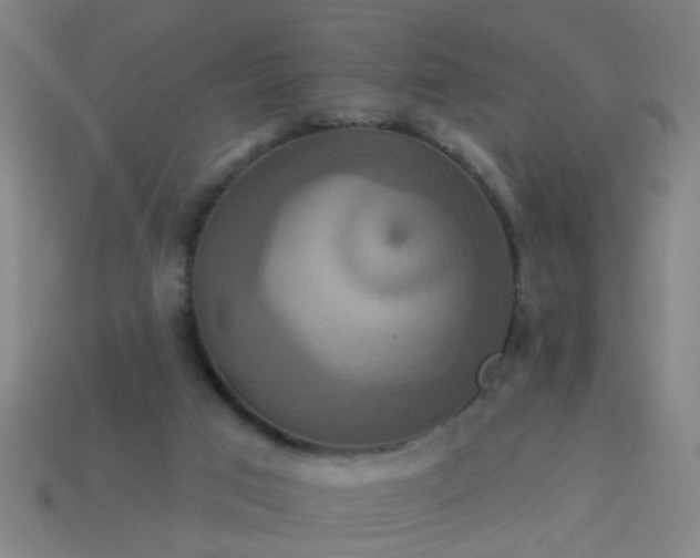 X0000114100017200910191651