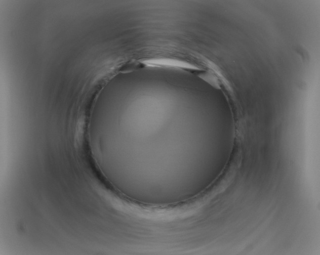 X0000114100018200910191651