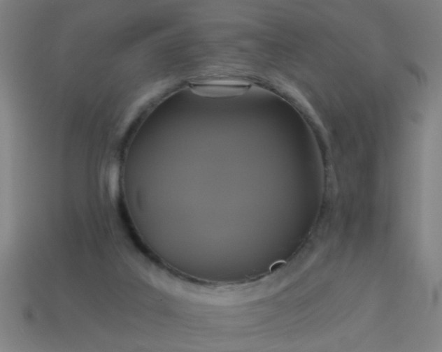 X0000114100019200910191651