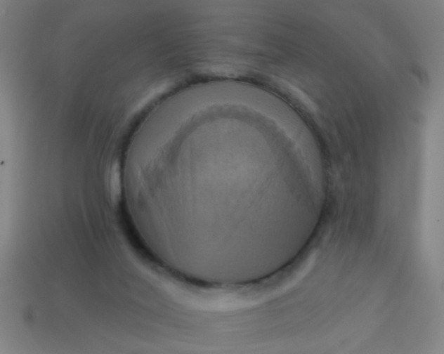 X0000114100020200910191651