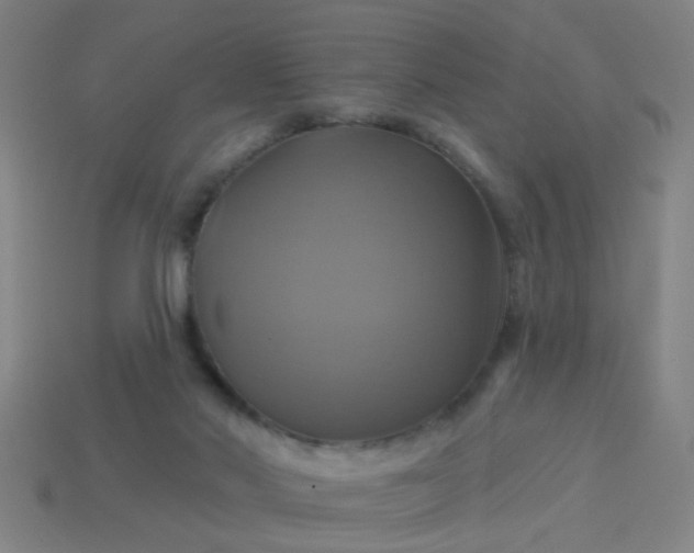 X0000114100022200910191651