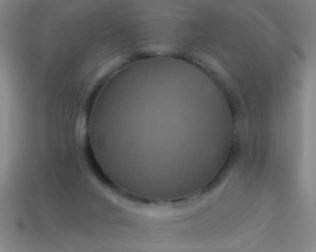 X0000114100024200910191651