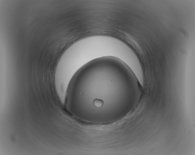 X0000114100025200910191651