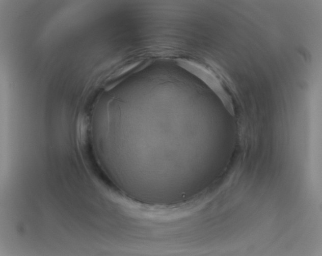 X0000114100026200910191651