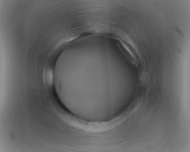 X0000114100027200910191651