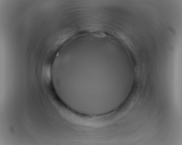 X0000114100028200910191651