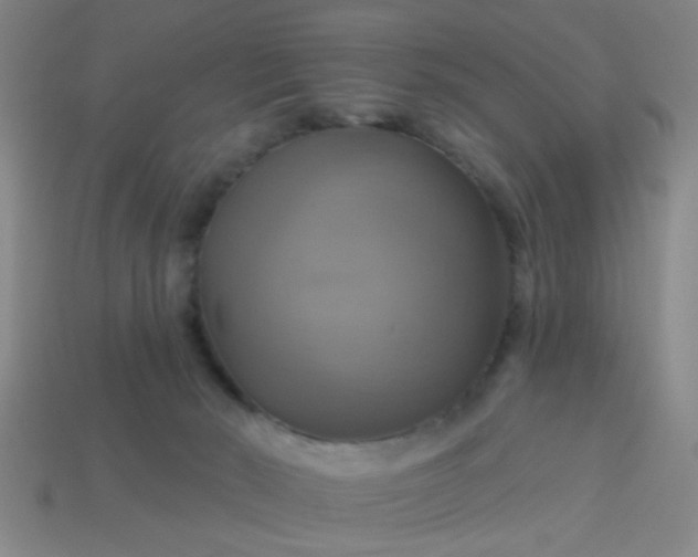 X0000114100030200910191651