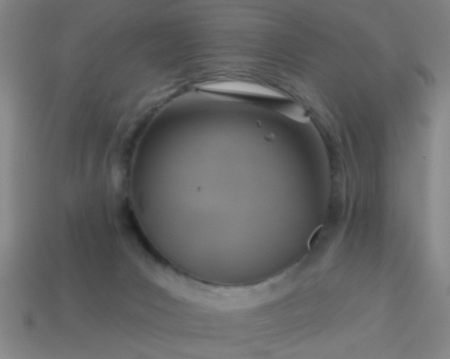 X0000114100031200910191651