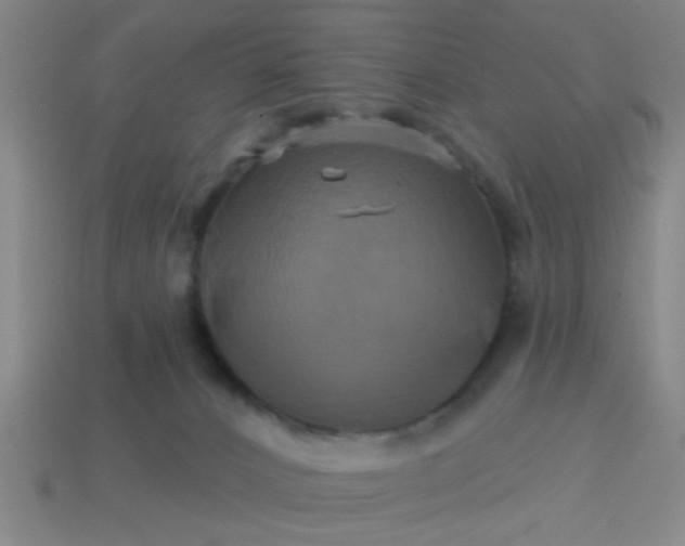 X0000114100032200910191651