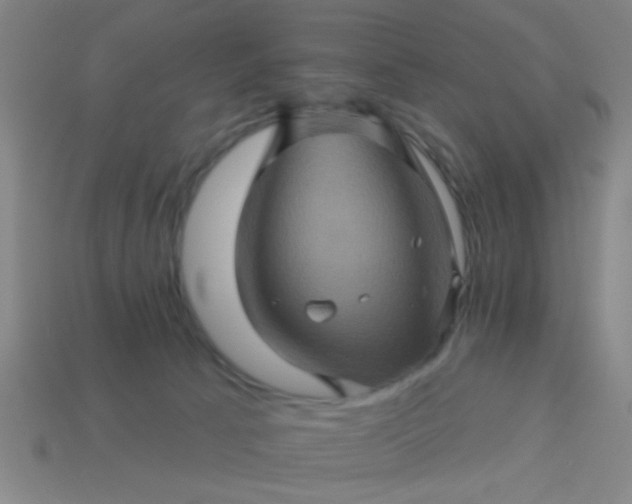 X0000114100033200910191651