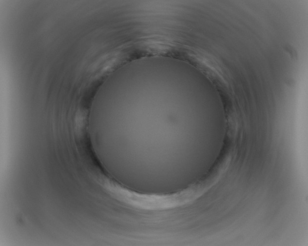 X0000114100034200910191651