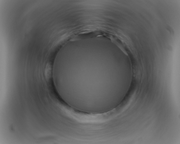 X0000114100036200910191651