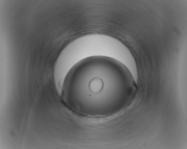 X0000114100037200910191651