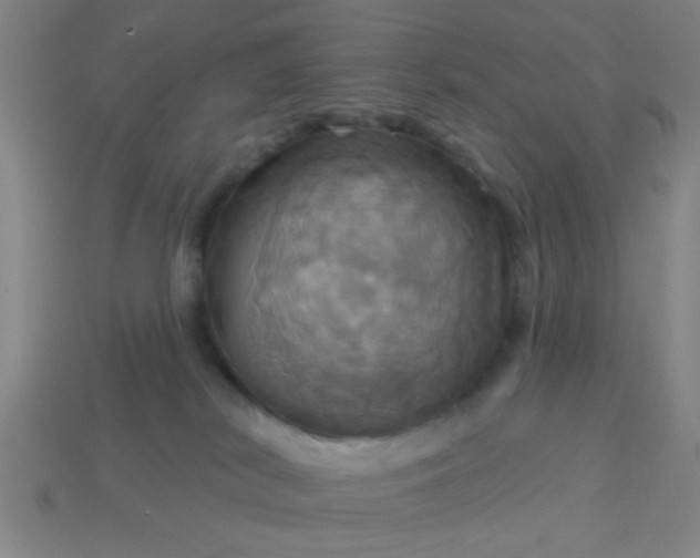 X0000114100038200910191651