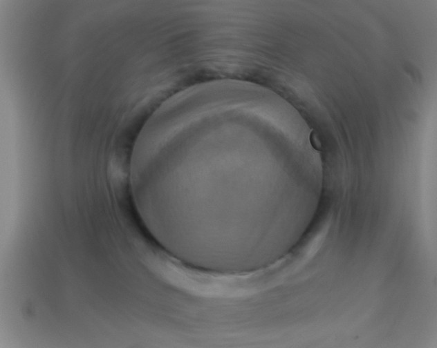 X0000114100040200910191651