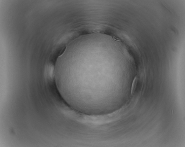 X0000114100041200910191651