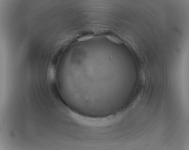 X0000114100042200910191651