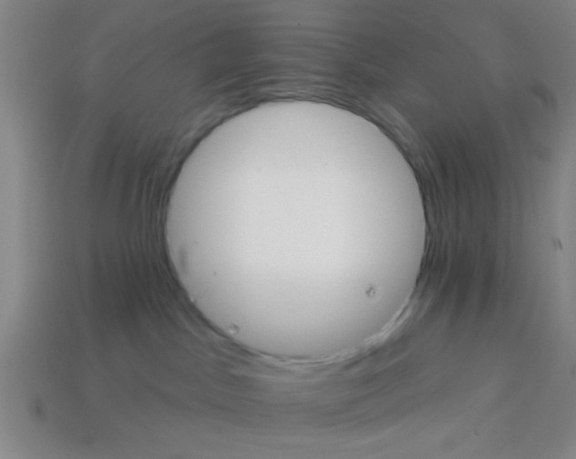 X0000114100045200910191651