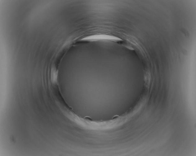 X0000114100046200910191651