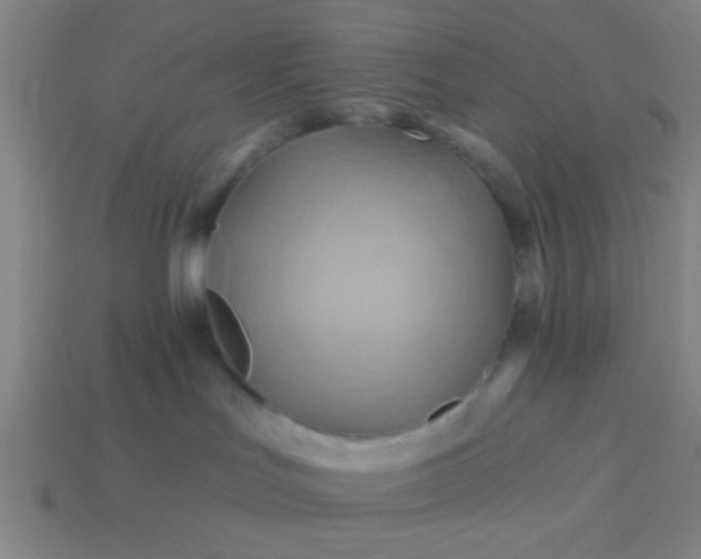 X0000114100047200910191651