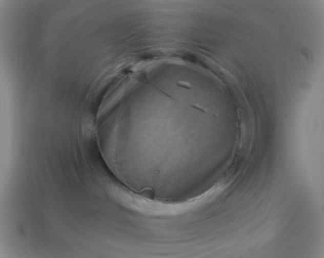 X0000114100048200910191651