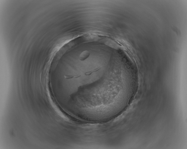 X0000114100049200910191650