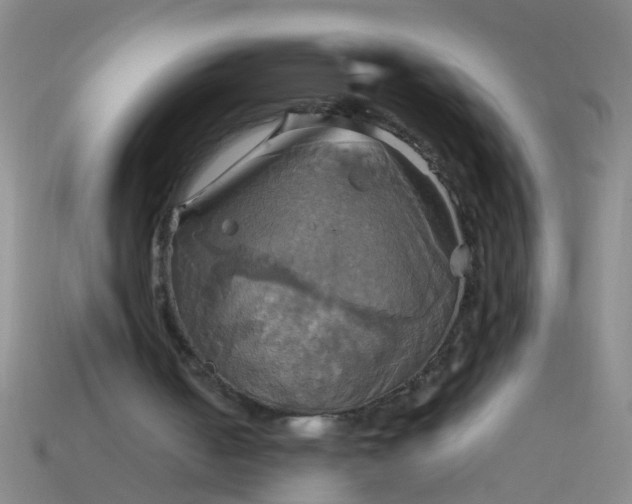 X0000114100050200910191650