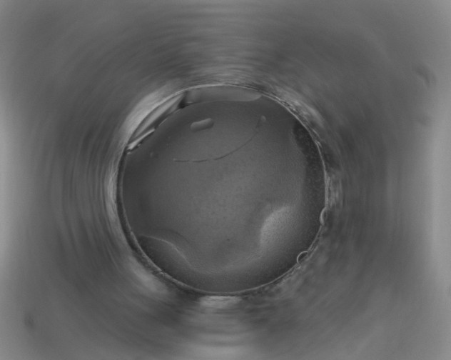 X0000114100051200910191650