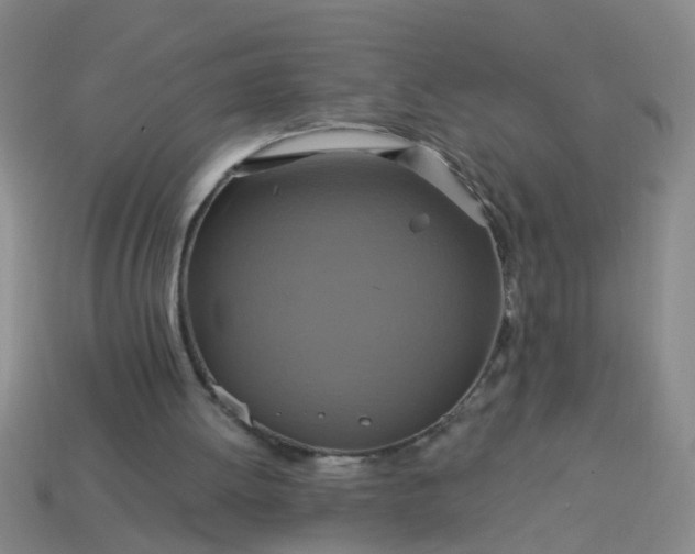 X0000114100052200910191650