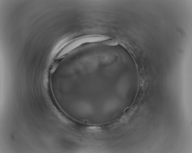 X0000114100053200910191650