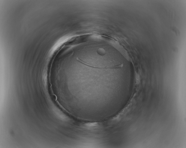 X0000114100054200910191650