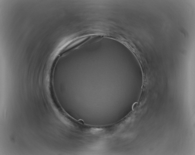 X0000114100055200910191650