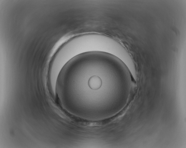 X0000114100056200910191650