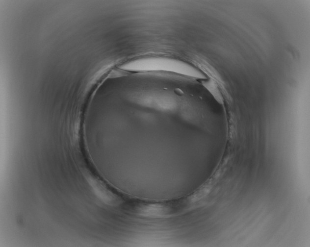 X0000114100058200910191650