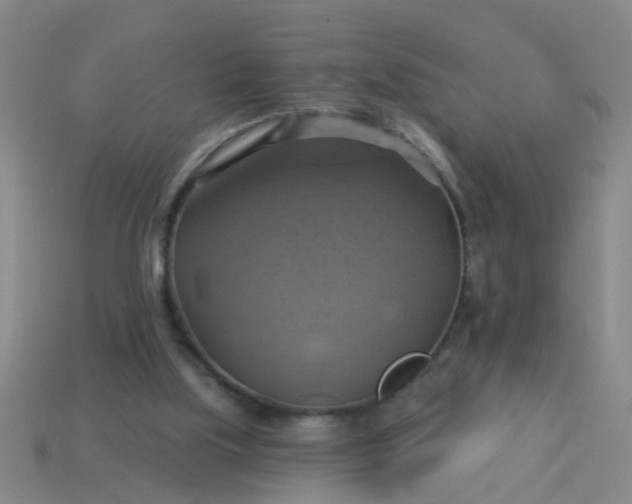 X0000114100059200910191650