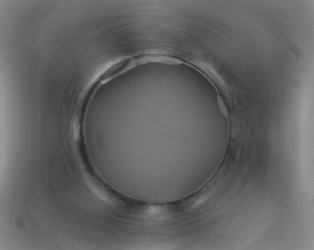 X0000114100060200910191650