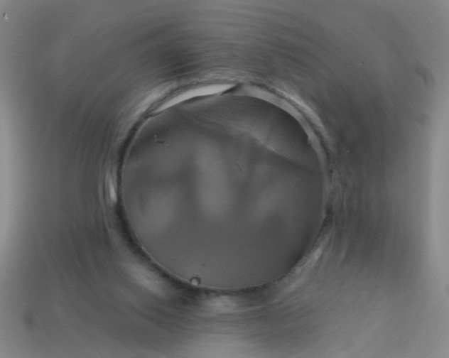 X0000114100062200910191650