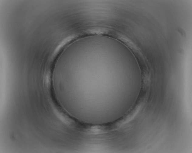 X0000114100064200910191650