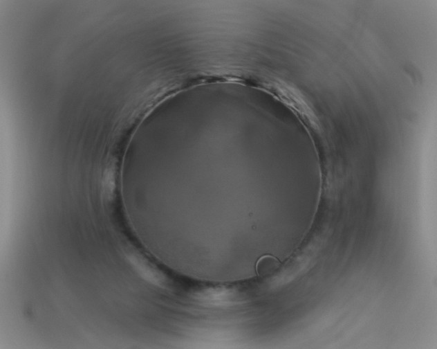 X0000114100065200910191650