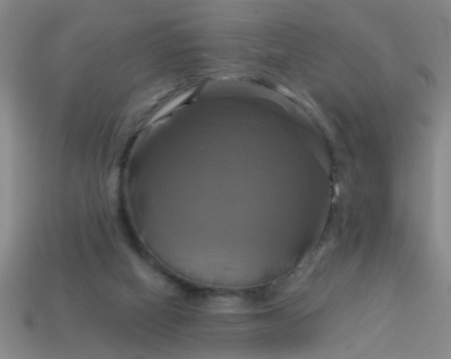 X0000114100066200910191650