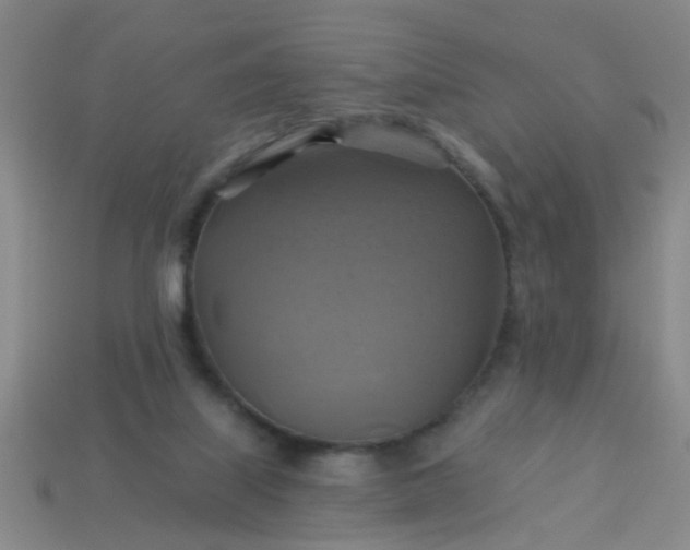 X0000114100067200910191650