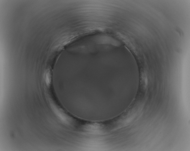 X0000114100069200910191650