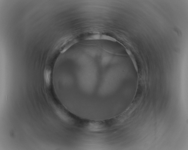 X0000114100070200910191650