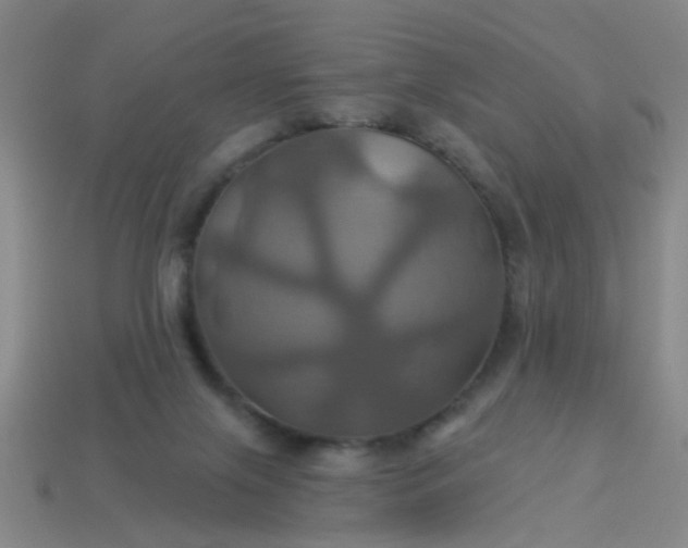 X0000114100071200910191650